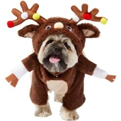 Frisco Front Walking Reindeer Dog & Cat Costume, 1 Count 11 Frisco Front Walking Reindeer Dog & Cat Costume, 1 Count -Dog Supply Store 228790 PT2. AC SS1800 V1636731101