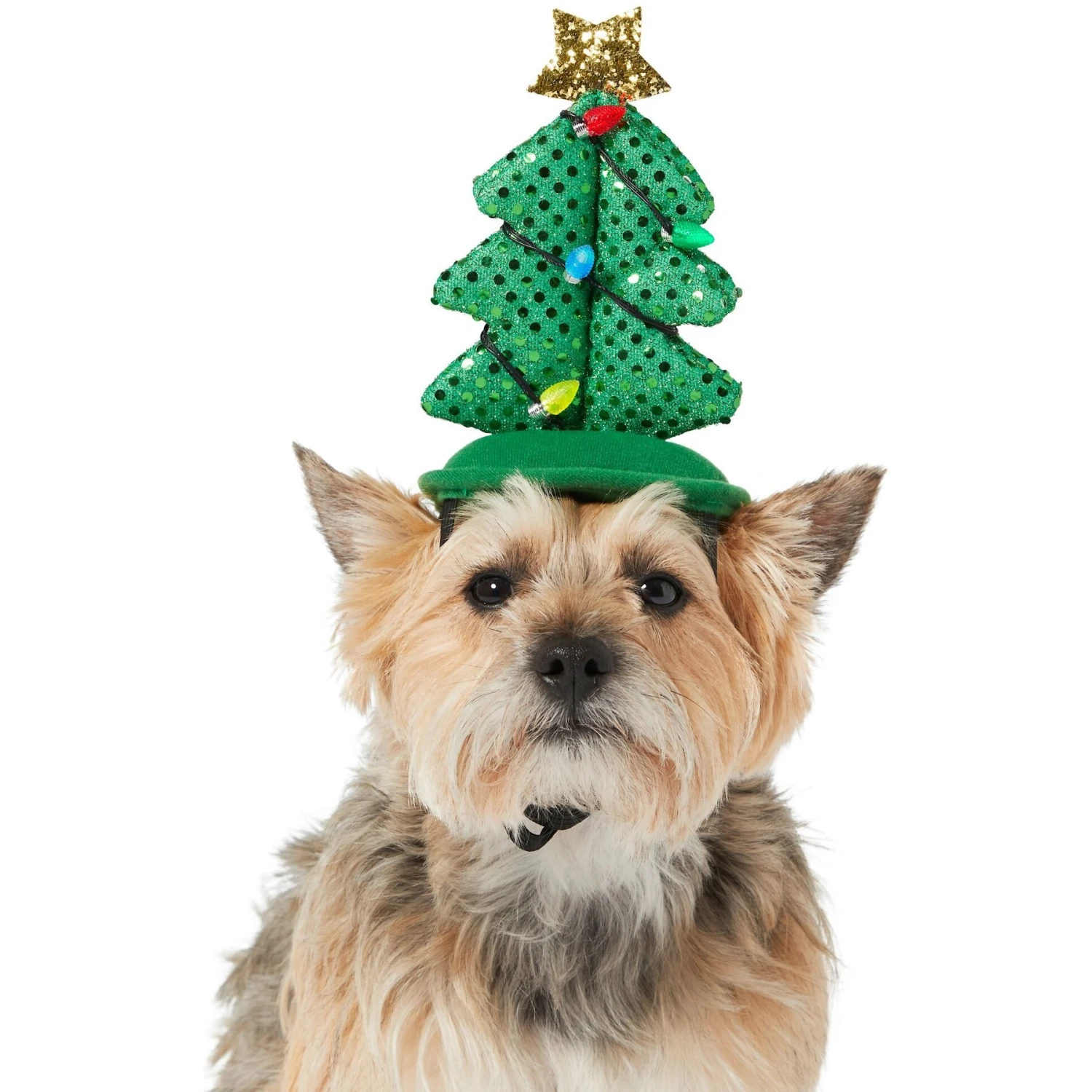 Frisco Christmas Tree LED Dog & Cat Headpiece 1 Frisco Christmas Tree LED Dog & Cat Headpiece