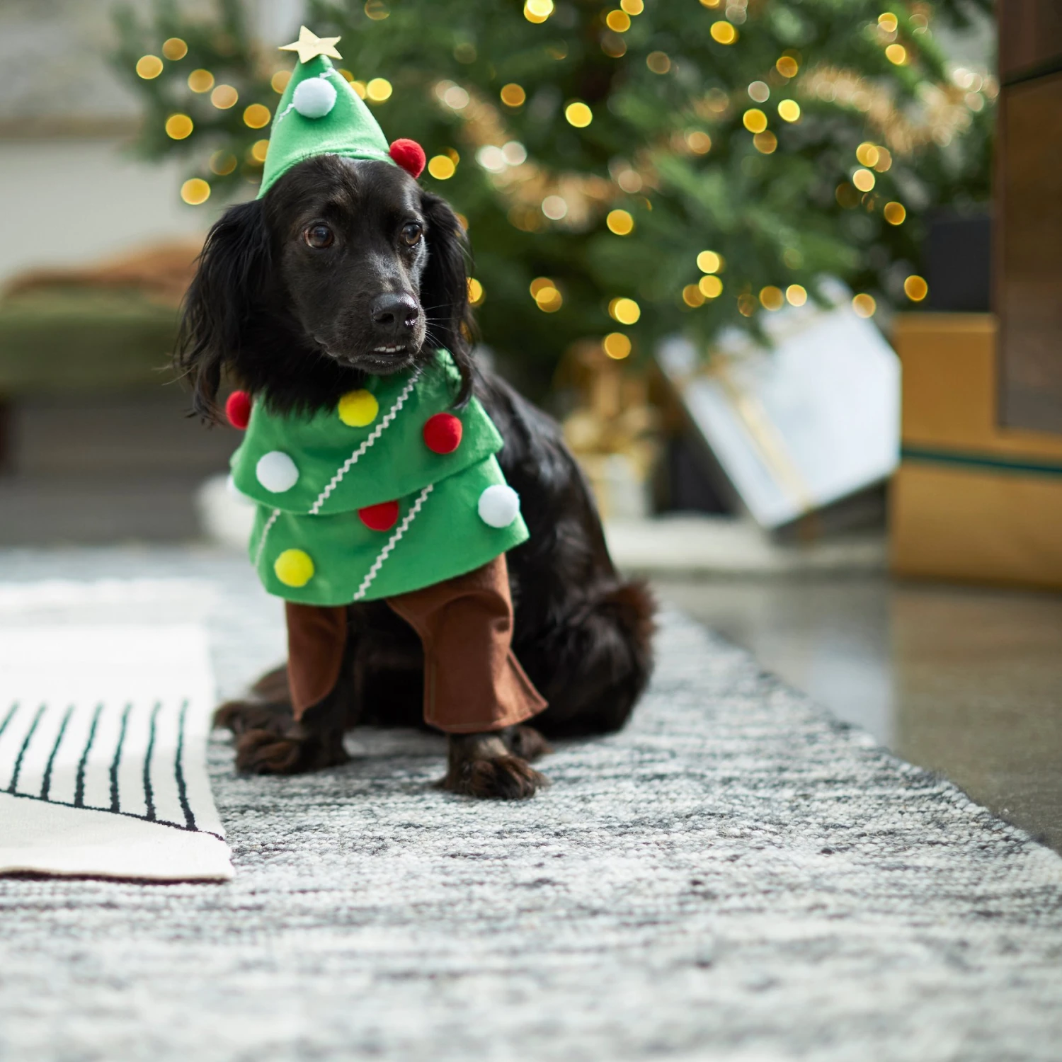 Frisco Front Walking Christmas Tree Dog & Cat Costume 6 Frisco Front Walking Christmas Tree Dog & Cat Costume - Image 6