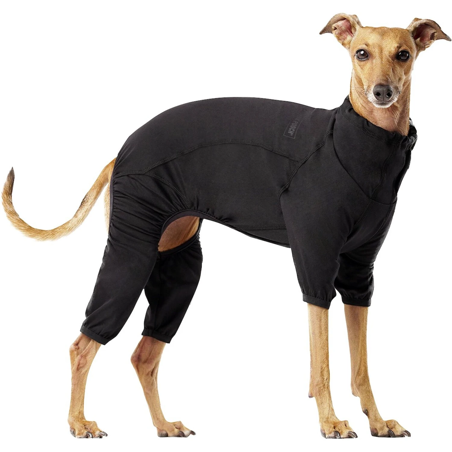Canada Pooch Thermal Layer Dog Onesie, Black 1 Canada Pooch Thermal Layer Dog Onesie, Black