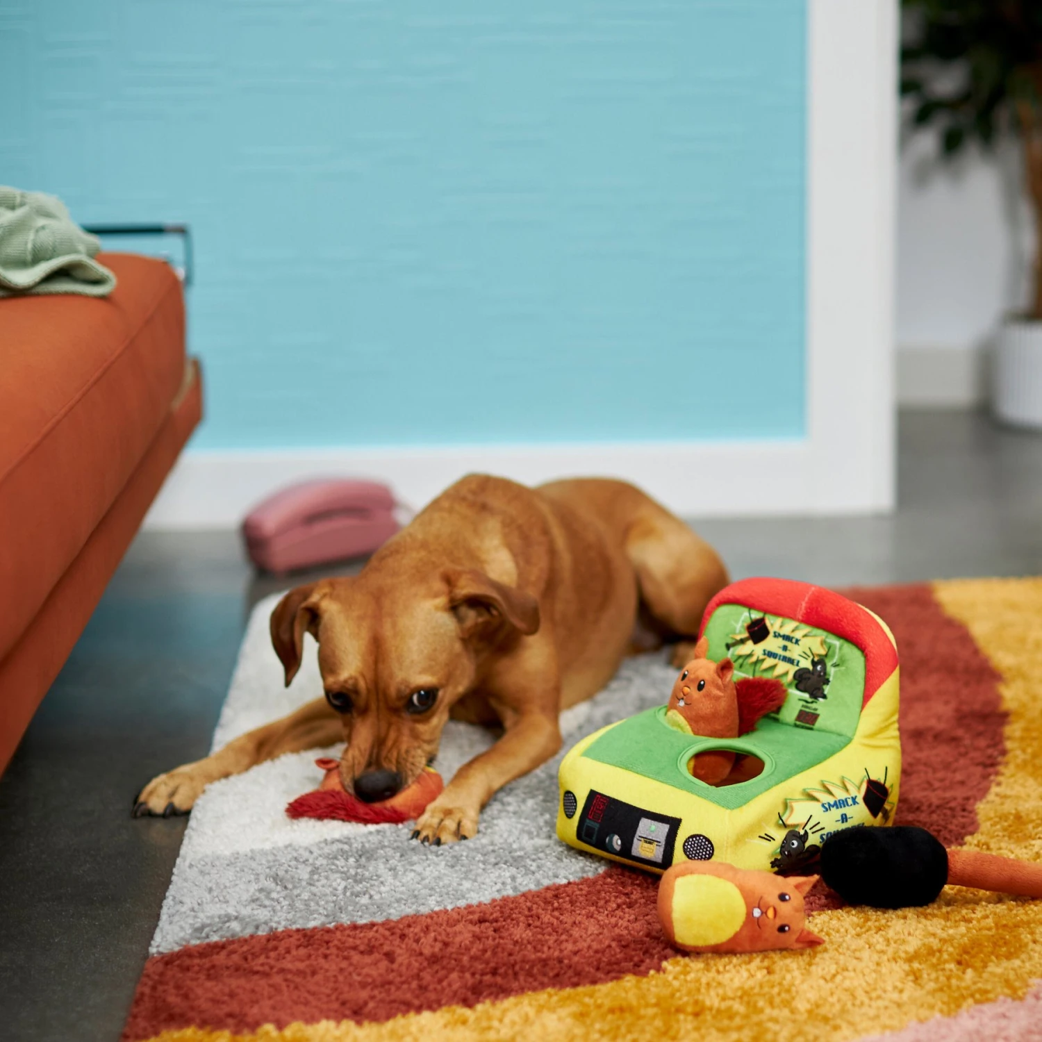 Frisco Retro Smack-a-Squirrel Hide & Seek Puzzle Plush Squeaky Dog Toy 4 Frisco Retro Smack-a-Squirrel Hide & Seek Puzzle Plush Squeaky Dog Toy - Image 4