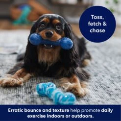 Frisco Retro Denim & Swirl TPR Bone Squeaky Dog Toy -Dog Supply Store 230341 PT4. AC SS1800 V1695748896