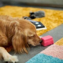 Frisco Retro Funky Van TPE Treat Dispenser Dog Toy, Medium/Large -Dog Supply Store 230383 PT4. AC SS1800 V1669908614