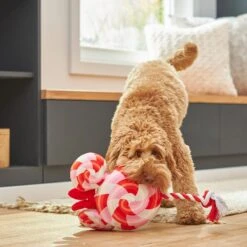 Disney Minnie Mouse Lollipop Plush With Rope Squeaky Dog Toy 5 Disney Minnie Mouse Lollipop Plush With Rope Squeaky Dog Toy -Dog Supply Store 230773 PT3. AC SS1800 V1621382837