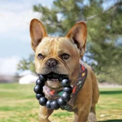 KONG Ring Dog Chew Toy, X-Large 7 KONG Ring Dog Chew Toy, X-Large -Dog Supply Store 232505 PT3. AC SS1800 V1588096894