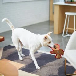 Frisco Holiday Gingerbread Man Flat Plush Squeaky Dog Toy -Dog Supply Store 233241 PT2. AC SS1800 V1601311903