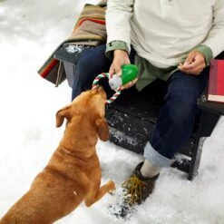 Frisco Holiday Christmas Light Rope With TPR Squeaky Dog Toy -Dog Supply Store 233278 PT2. AC SS1800 V1601641574