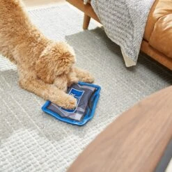 Frisco Zoomies & Chill TV Flat Plush Squeaky Dog Toy -Dog Supply Store 241685 PT6. AC SS1800 V1610768399