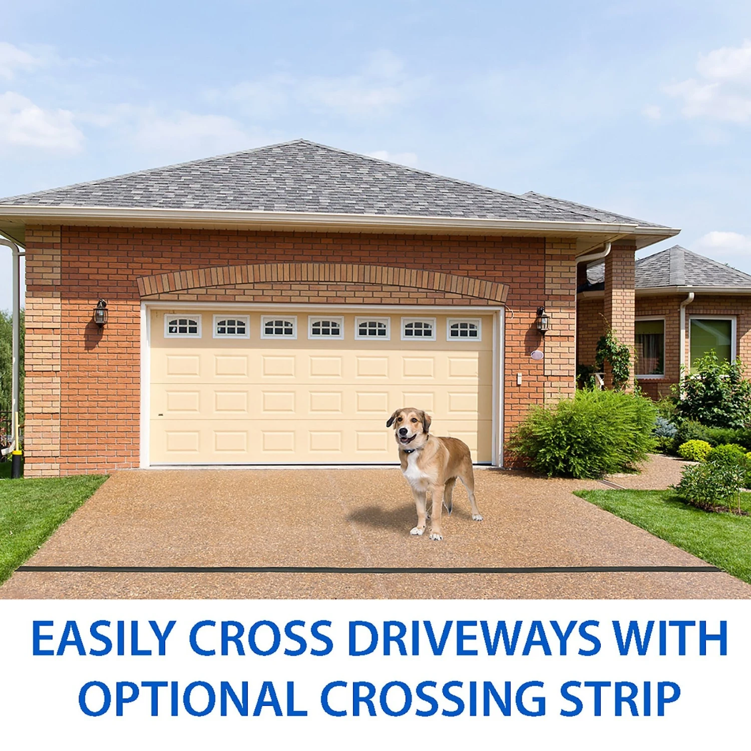 High Tech Pet Products Humane Contain HC-8000 Deluxe Electronic Dog Fence Containment System 6 High Tech Pet Products Humane Contain HC-8000 Deluxe Electronic Dog Fence Containment System - Image 6