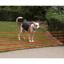 High Tech Pet Products Humane Contain X-10 Electronic Dog Fence Containment System -Dog Supply Store 242714 PT3. AC SS1800 V1608849456