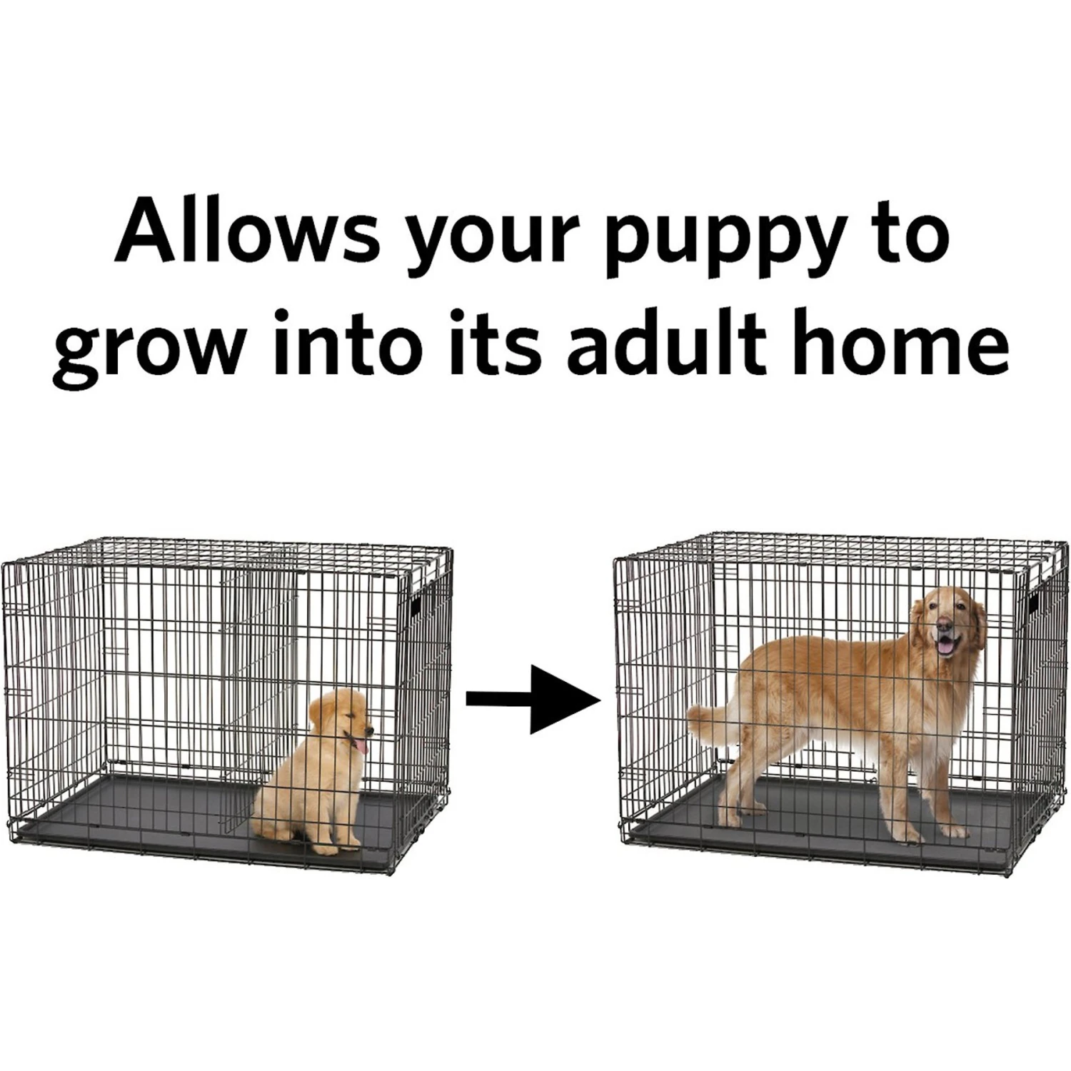 MidWest 54-in Solution Series SL54DD & 1154 Dog Crate Divider Panel, Black, Giant 3 MidWest 54-in Solution Series SL54DD & 1154 Dog Crate Divider Panel, Black, Giant - Image 3