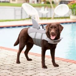 Frisco Shark Dog Life Jacket -Dog Supply Store 247887 PT7. AC SS1800 V1616505777