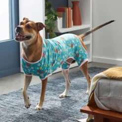 Frisco Teal Floral Dog & Cat Jersey PJs -Dog Supply Store 249132 PT5. AC SS1800 V1637725019