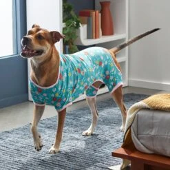 Frisco Teal Floral Dog & Cat Jersey PJs -Dog Supply Store 249132 PT7. AC SS1800 V1614376401
