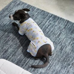 Frisco Sleepy Sloths Dog & Cat Jersey PJs 9 Frisco Sleepy Sloths Dog & Cat Jersey PJs -Dog Supply Store 249144 PT7. AC SS1800 V1614369158