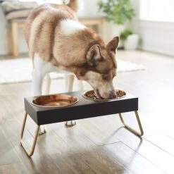 Frisco Copper Stainless Steel Elevated Foldable Double Dog & Cat Bowls -Dog Supply Store 253060 PT2. AC SS1800 V1616594243