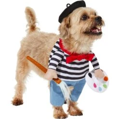 Frisco Front Walking French Artist Dog & Cat Costume -Dog Supply Store 260956 PT3. AC SS1800 V1624453662
