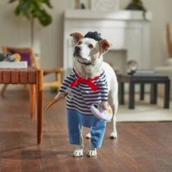 Frisco Front Walking French Artist Dog & Cat Costume -Dog Supply Store 260956 PT8. AC SS1800 V1689623916