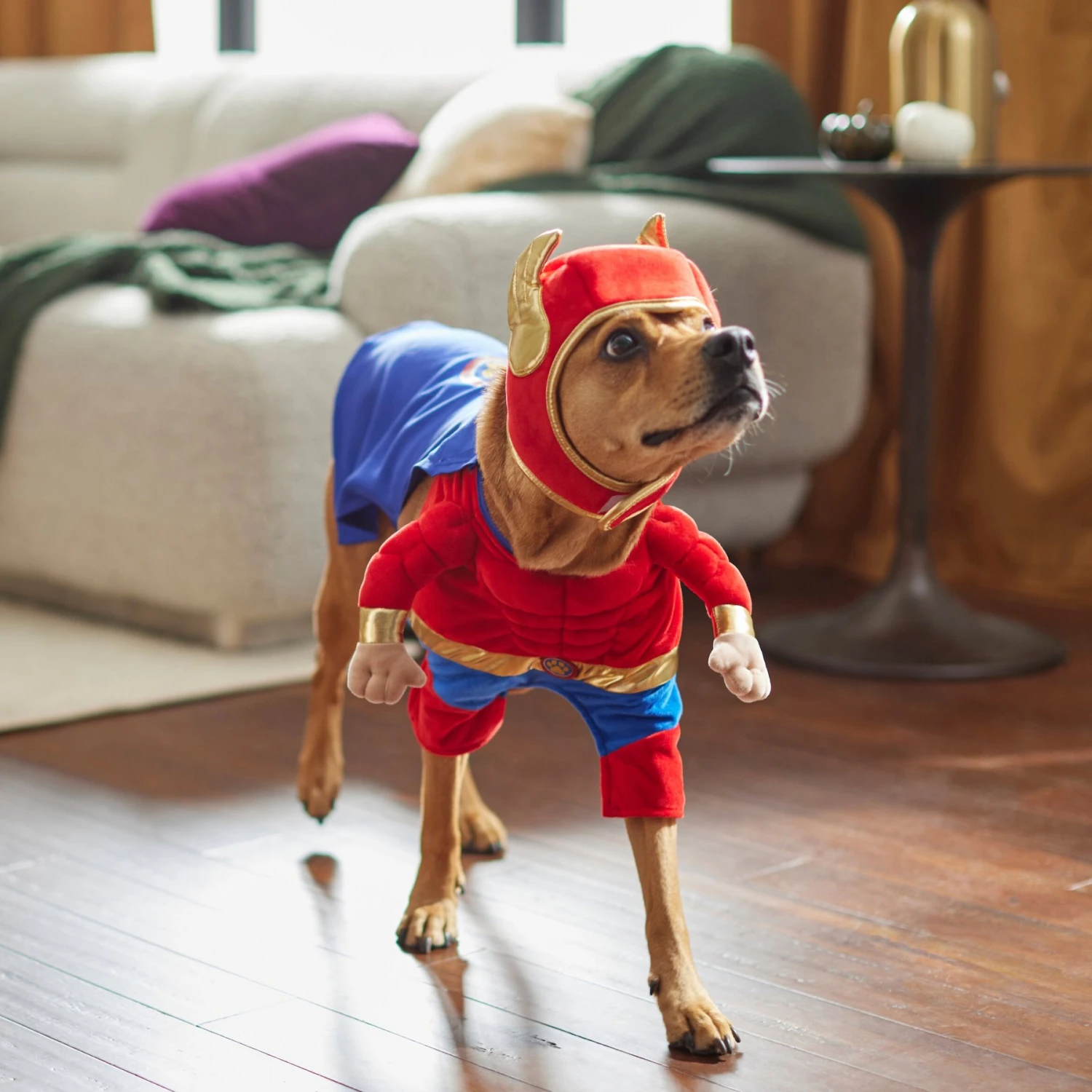 Frisco Front Walking Superhero Dog & Cat Costume 8 Frisco Front Walking Superhero Dog & Cat Costume - Image 8