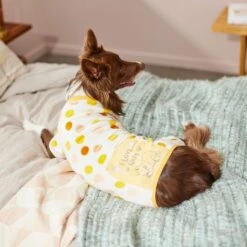 Disney Winnie The Pooh "I Love Naps" Dog & Cat Plush Fleece PJ 11 Disney Winnie The Pooh "I Love Naps" Dog & Cat Plush Fleece PJ -Dog Supply Store 264693 PT8. AC SS1800 V1629486753