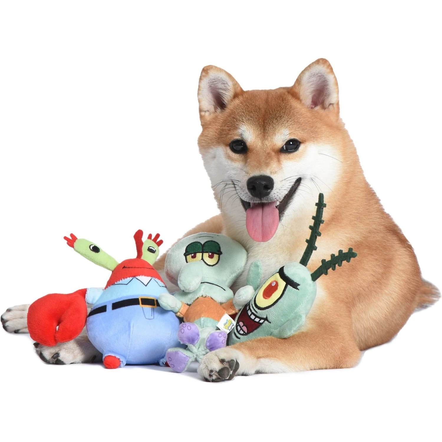 Fetch For Pets SpongeBob Squidward, Plankton & Mr. Krabs Squeaky Plush Dog Toys, 3 Count 5 Fetch For Pets SpongeBob Squidward, Plankton & Mr. Krabs Squeaky Plush Dog Toys, 3 Count - Image 5