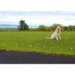 StayFence In-Ground Pet Containment System -Dog Supply Store 270616 PT4. AC SS1800 V1622564866