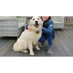 StayFence In-Ground Pet Containment System -Dog Supply Store 270616 PT5. AC SS1800 V1622564844