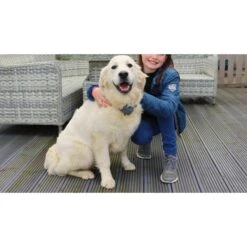 StayFence Pet Containment System Extra Receiver -Dog Supply Store 270618 PT4. AC SS1800 V1623859349