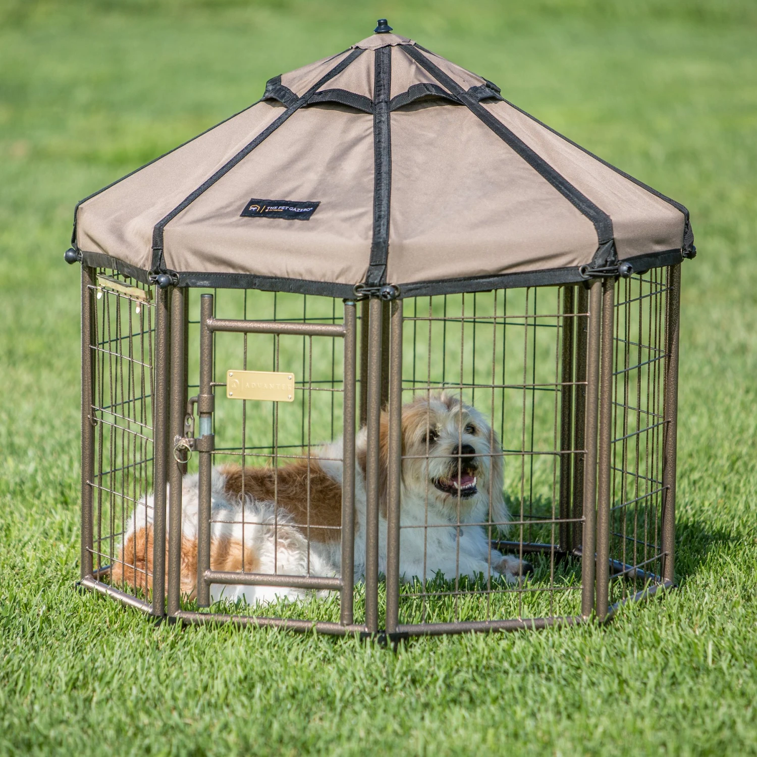 Win World International Pet Gazebo Dog Kennel 3 Win World International Pet Gazebo Dog Kennel - Image 3