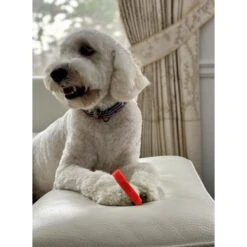 Sweet Paws Wearable Puppy Teether Dog Chew Toy -Dog Supply Store 271356 PT7. AC SS1800 V1621988003