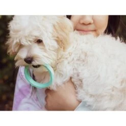 Sweet Paws Wearable Puppy Teether Stack Dog Chew Toy -Dog Supply Store 271361 PT4. AC SS1800 V1621437782