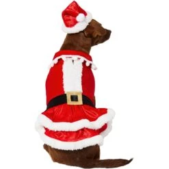Frisco Mrs. Claus Dog & Cat Costume -Dog Supply Store 276150 PT3. AC SS1800 V1631572139