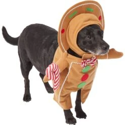 Frisco Front Walking Gingerbread Dog & Cat Costume -Dog Supply Store 276156 PT3. AC SS1800 V1631660334