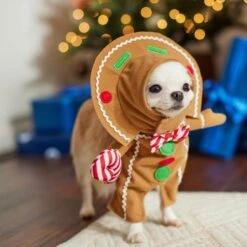 Frisco Front Walking Gingerbread Dog & Cat Costume -Dog Supply Store 276156 PT8. AC SS1800 V1631568795
