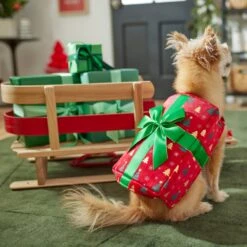 Frisco Holiday Giftbox Dog & Cat Costume -Dog Supply Store 276175 PT8. AC SS1800 V1631574832