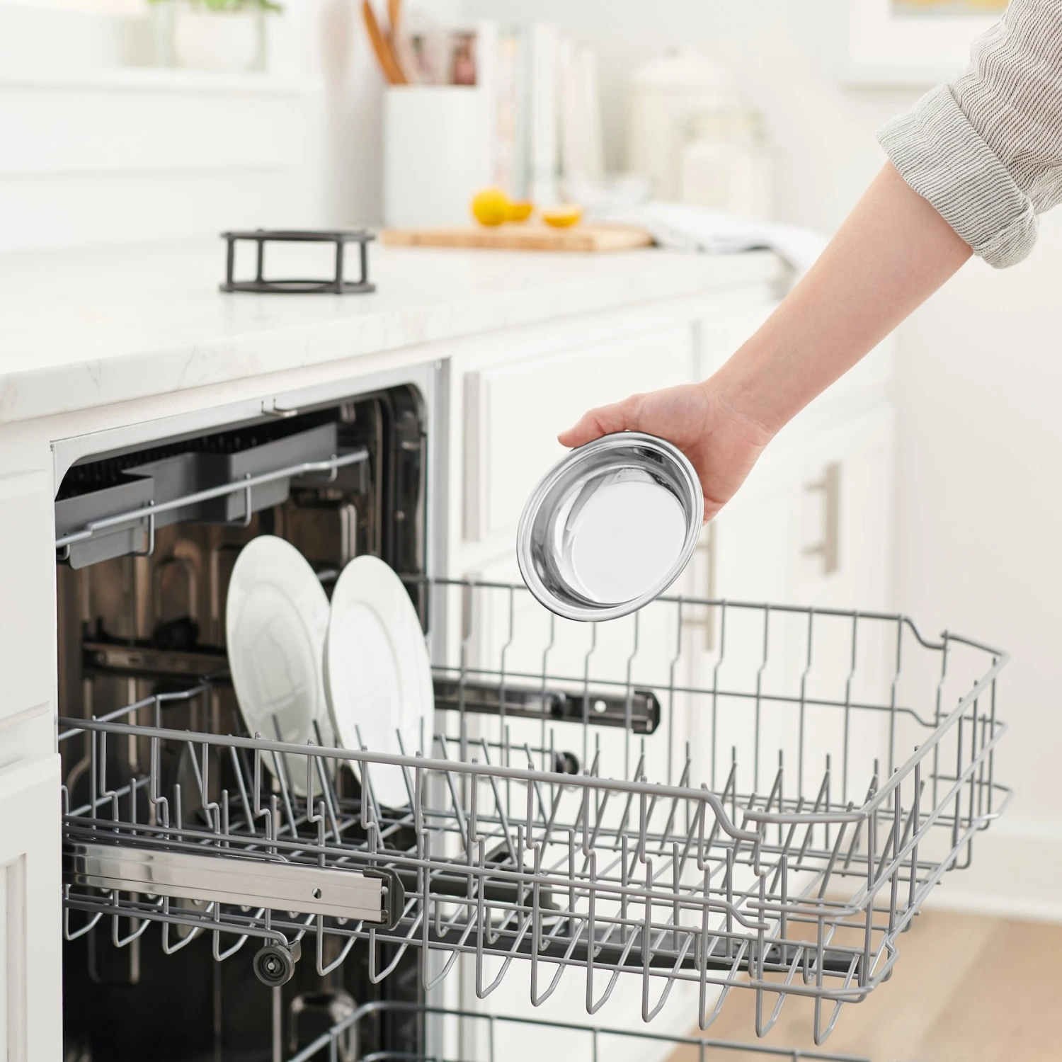 Frisco Elevated Stainless Steel Dish Cat Bowl, 1 Cup 7 Frisco Elevated Stainless Steel Dish Cat Bowl, 1 Cup - Image 7