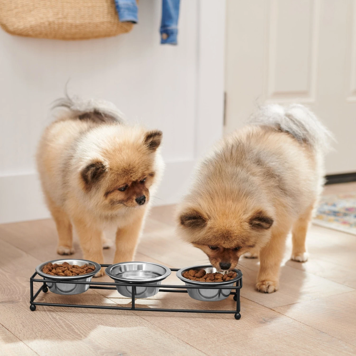 Frisco Multi Pet Feeding 3-Bowls Straight Stainless Steel Dog & Cat Bowl 3 Frisco Multi Pet Feeding 3-Bowls Straight Stainless Steel Dog & Cat Bowl - Image 3
