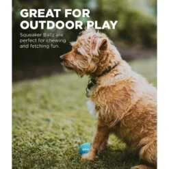 Outward Hound Squeaker Balls X-Small Dog Toys, 8 Count -Dog Supply Store 278087 PT3. AC SS1800 V1636509712