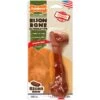 Nylabone Power Chew Bison Bone Alternative Nylon Dog Chew Toy, Large