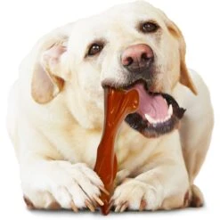 Nylabone Power Chew Bison Bone Alternative Nylon Dog Chew Toy, Large 11 Nylabone Power Chew Bison Bone Alternative Nylon Dog Chew Toy, Large -Dog Supply Store 278144 PT2. AC SS1800 V1629845806