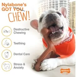 Nylabone Power Chew Bison Bone Alternative Nylon Dog Chew Toy, Large 12 Nylabone Power Chew Bison Bone Alternative Nylon Dog Chew Toy, Large -Dog Supply Store 278144 PT3. AC SS1800 V1663019097