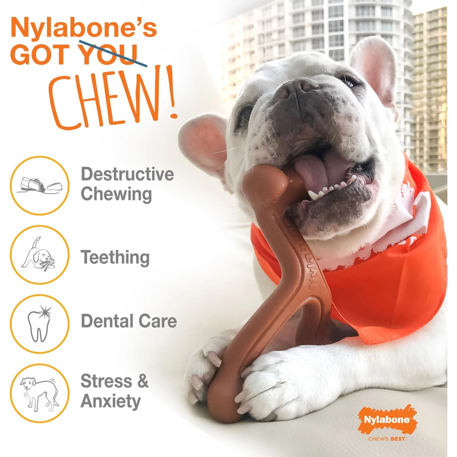 Nylabone Power Chew Bison Bone Alternative Nylon Dog Chew Toy, Large 4 Nylabone Power Chew Bison Bone Alternative Nylon Dog Chew Toy, Large - Image 4
