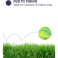 Petstages Grunt N Punt Squeaky Tennis Ball Dog Toy 9 Petstages Grunt N Punt Squeaky Tennis Ball Dog Toy -Dog Supply Store 280172 PT2. AC SS1800 V1636516881