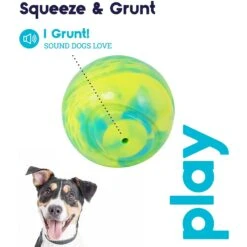 Petstages Grunt N Punt Squeaky Tennis Ball Dog Toy 11 Petstages Grunt N Punt Squeaky Tennis Ball Dog Toy -Dog Supply Store 280172 PT4. AC SS1800 V1636515449