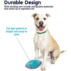 Petstages Grunt N Punt Football Dog Toy, Blue & Pink 10 Petstages Grunt N Punt Football Dog Toy, Blue & Pink -Dog Supply Store 280174 PT3. AC SS1800 V1636517208