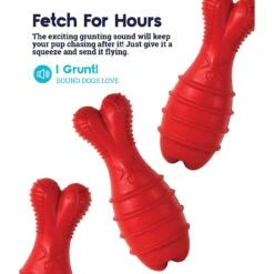 Petstages Grunt Fetch Bunny Stick Dog Chew Toy, Red -Dog Supply Store 280182 PT3. AC SS1800 V1636516377