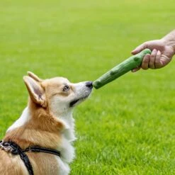 Petstages Dogwood Dog Chew Toy, Large, 2 Count -Dog Supply Store 280204 PT6. AC SS1800 V1636497701