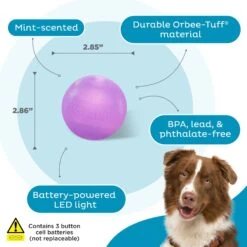 Planet Dog Orbee-Tuff Strobe Ball Light Up LED Dog Toy -Dog Supply Store 281727 PT2. AC SS1800 V1646769091