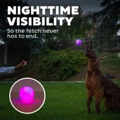 Planet Dog Orbee-Tuff Strobe Ball Light Up LED Dog Toy -Dog Supply Store 281727 PT4. AC SS1800 V1646789609