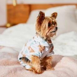 Wagatude Hedgehog Print Dog Pajamas -Dog Supply Store 282098 PT3. AC SS1800 V1637648794